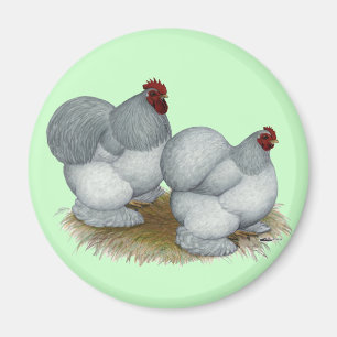 Cochin: Selbstblau Magnet