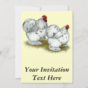 Cochin: Splash Bantams Einladung