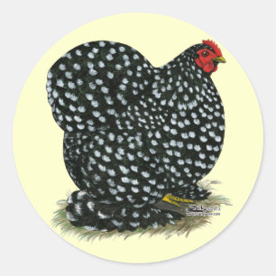 Cochin sprenkelte Henne Runder Aufkleber