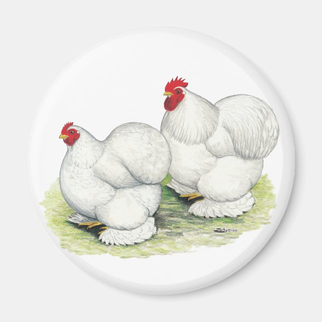 Cochin: Weiße Bantams Magnet (Vorne)
