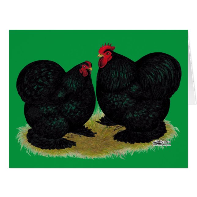 Cochins Black Bantam Pair (Vorderseite (Horizontal))