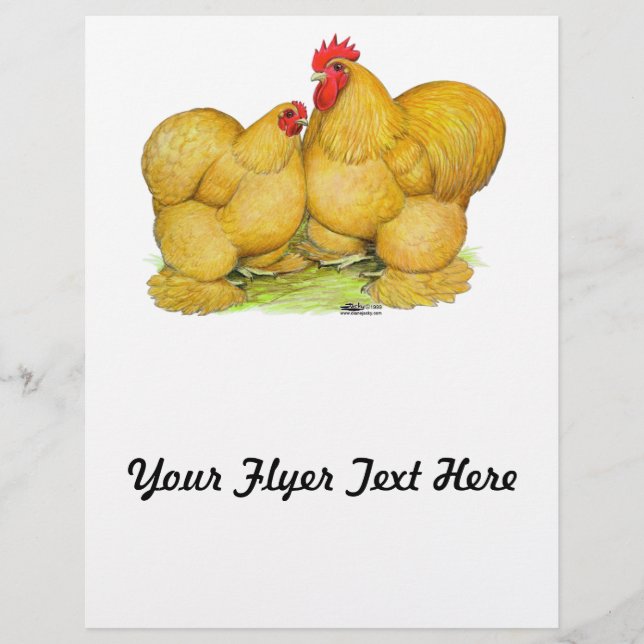 Cochins Buff Pair Flyer (Vorne)