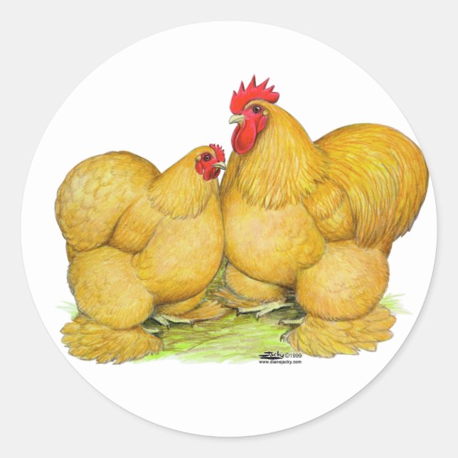 Cochins Buff Pair Runder Aufkleber (Vorderseite)