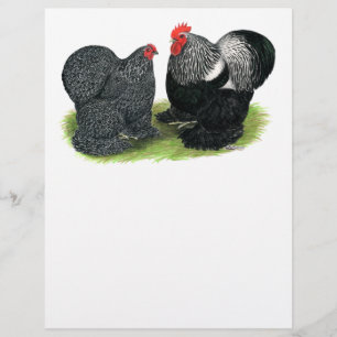 Cochins: silbergepresst flyer