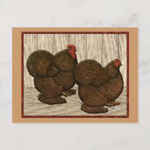 Cochins: Texturierte rote Bantams Postkarte