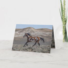 Cochise Runs Greeting Card Einladung