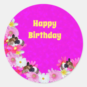 Cochons Et Fleurs De Guinée Rose, Stickers Rond