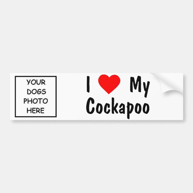 Cockapoo Autoaufkleber (Vorne)