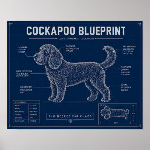 Cockapoo Bauplan-Wandkunst Hunde-Liebhaber-Geschen Poster