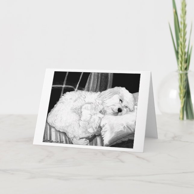 Cockapoo Dog Portrait Blank Grußkarte Karte (Vorderseite)