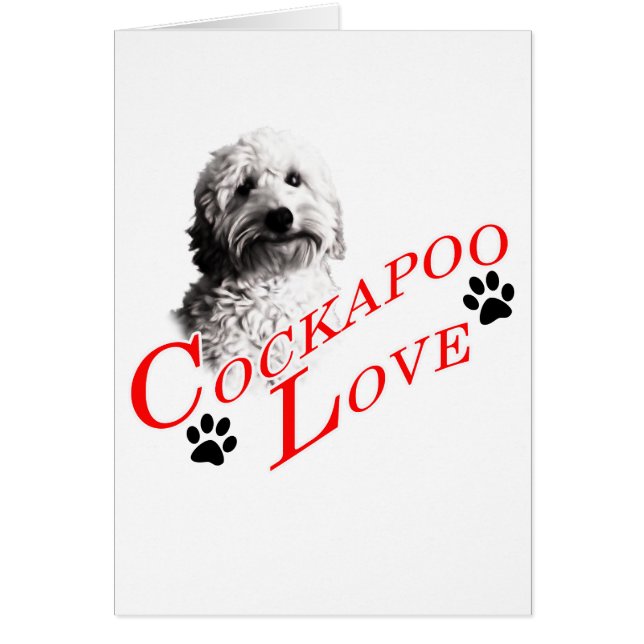 Cockapoo Love (Devant)