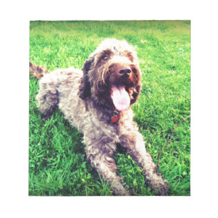 Cockapoo Notizblock