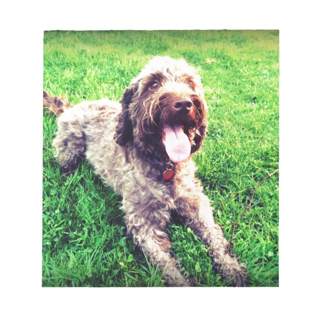 Cockapoo Notizblock (Vorderseite)