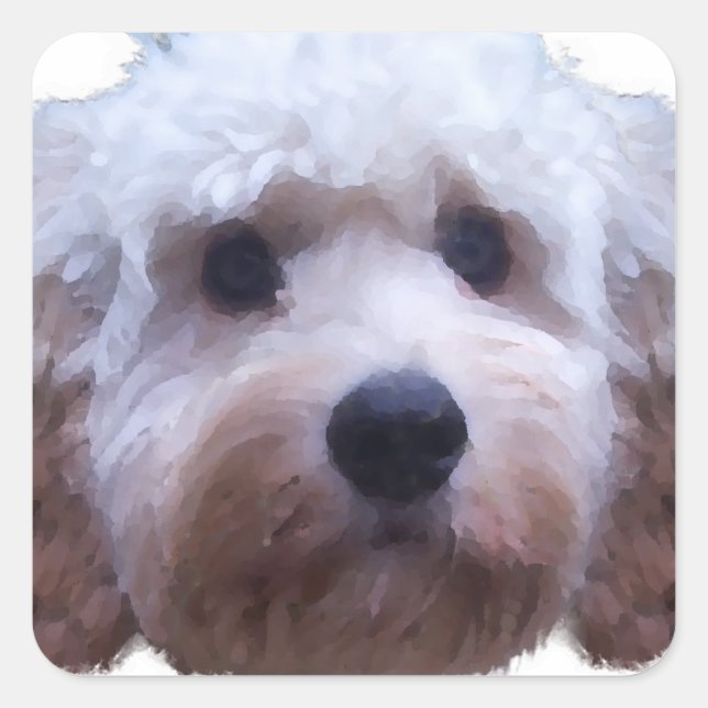 Cockapoo Puppy Quadratischer Aufkleber (Vorderseite)