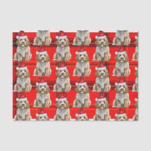 Cockapoo Santa Dog auf Karierten Weihnachtsfeierta