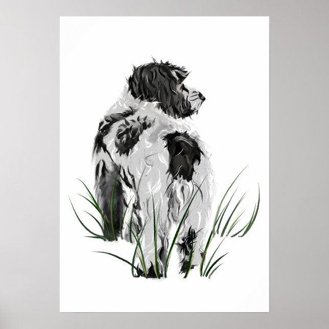 Cockapoo-Wandkunstposter, Hunde-Homedekoration Poster (Vorne)