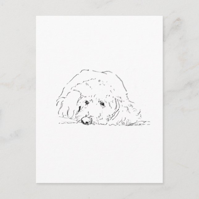 Cockapoo-Welpe, Geschenkideen für Hundebesitzer Postkarte (Vorderseite)