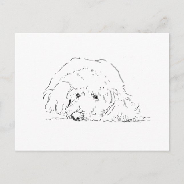 Cockapoo-Welpe, Geschenkideen für Hundebesitzer Postkarte (Vorderseite)