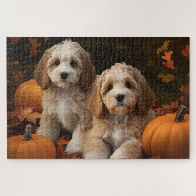 Cockapoo-Welpe Herbstfreude Kürbis  (Horizontal)