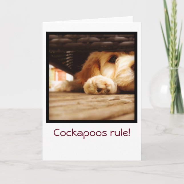 Cockapoos Regel-Grußkarte Karte (Vorderseite)