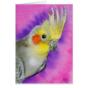 Cockatiel de disco