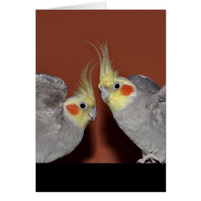 Cockatiel-Duo-Karte (Vorne)