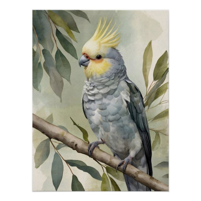 Cockatiel Eukalyptus Tree Poster (Vorderseite)