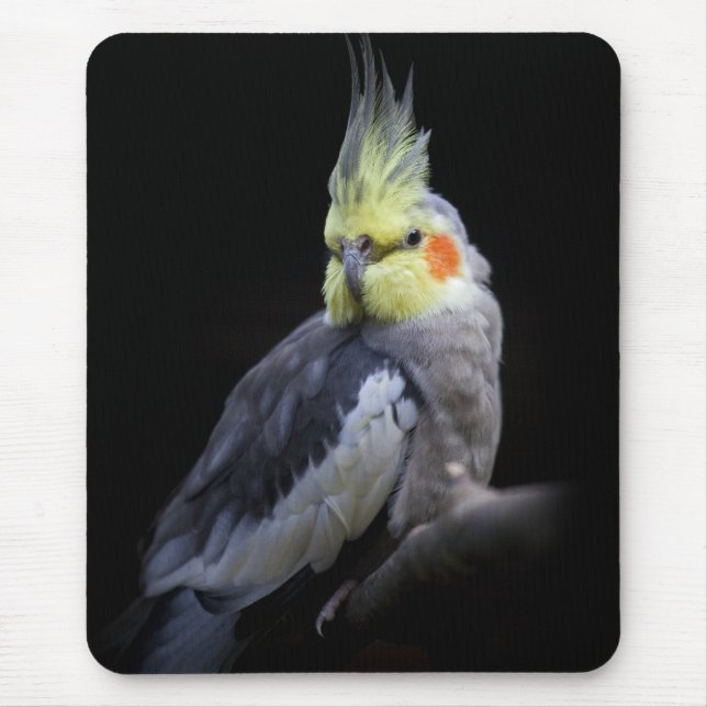 Cockatiel Mousemat Mousepad (Vorne)