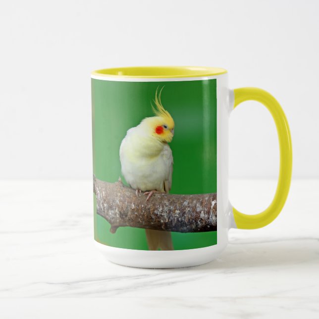 Cockatiel , Nymphicus hcus Tasse (Rechts)
