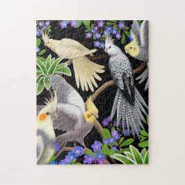 Cockatiel-Papageien im