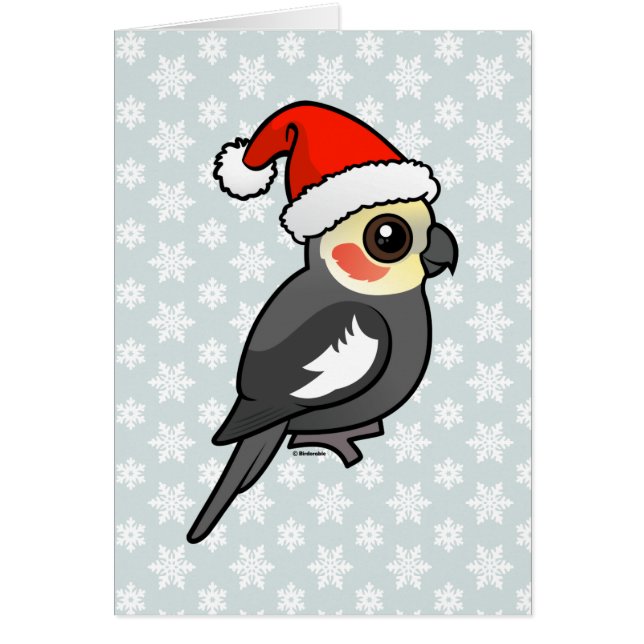 Cockatiel Père Noël (Devant)