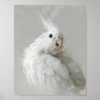 Cockatiel Portrait 012