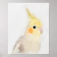 Cockatiel Portrait