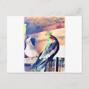 Cockatiel Postkarte