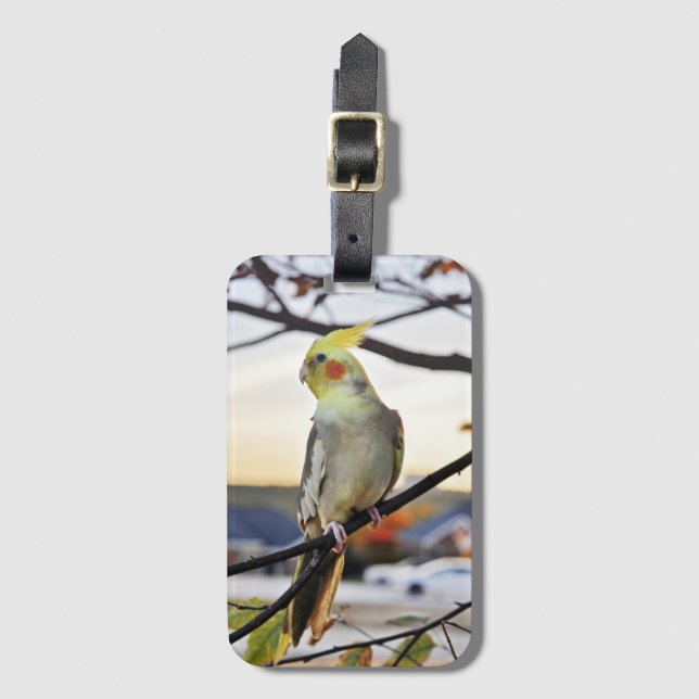 Cockatiel-Profil-Fotografie Gepäckanhänger (Vorderseite Vertikal)