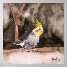 Cockatiel-Vogel-Malerkunst