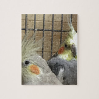 Cockatiels