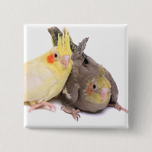 Cockatiels Button