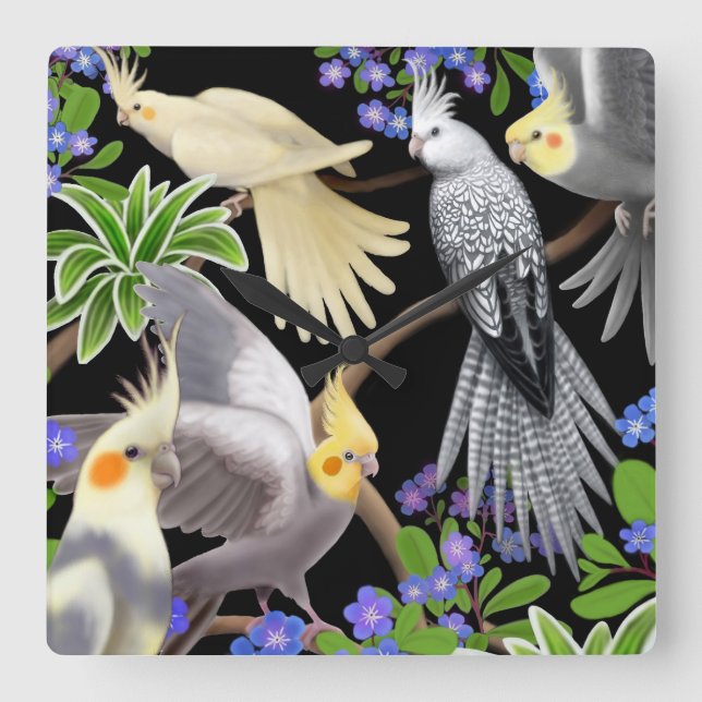Cockatiels in der Vergissmeinnicht-Wanduhr Quadratische Wanduhr (Vorderseite)