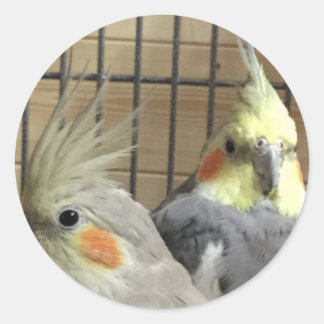 Cockatiels Runder Aufkleber