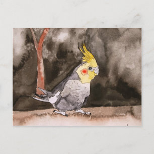 Cockatielvogelmalerei Postkarte