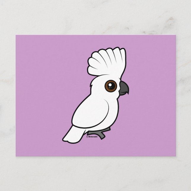 Cockatoo (aufgewachsen) postkarte (Vorderseite)