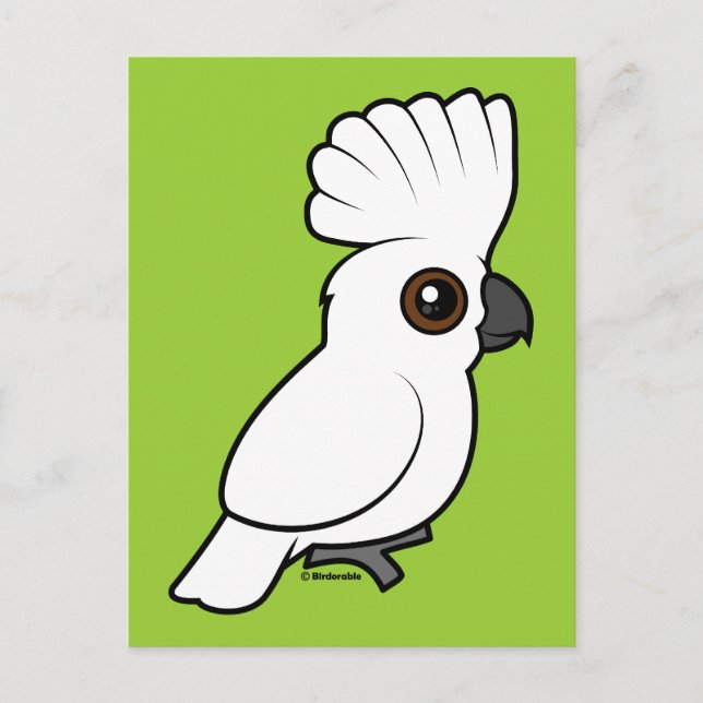 Cockatoo (aufgewachsen) postkarte (Vorderseite)