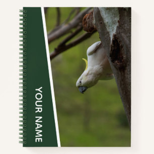 Cockatoo Australia Papagei Auf den Kopf, Funny Gre Notizbuch