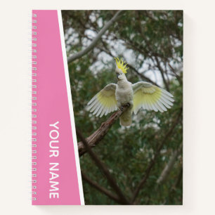 Cockatoo Australia Parrot Bird Wings, rosa Notizbuch