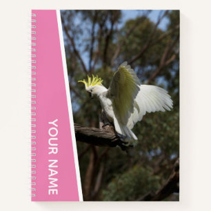 Cockatoo Australia Parrot Bird Wings, rosa Notizbuch