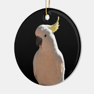 Cockatoo bei Sundial Apartments Keramik Dekoration