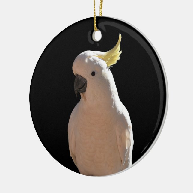 Cockatoo bei Sundial Apartments Keramik Dekoration (Links)