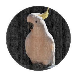 Cockatoo bei Sundial Apartments Koppingboard Schneidebrett