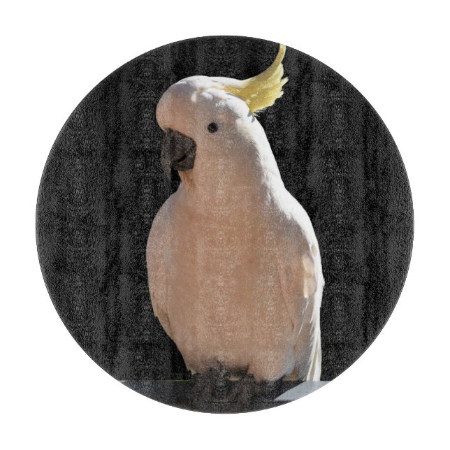 Cockatoo bei Sundial Apartments Koppingboard Schneidebrett (Vorderseite)